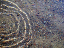 ringar