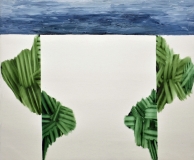 55x65cm