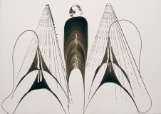 50x70cm
