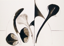 50x70cm