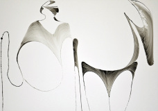 50x71cm
