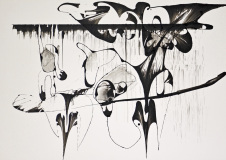 50x70cm